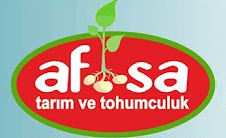 Referanslarımız