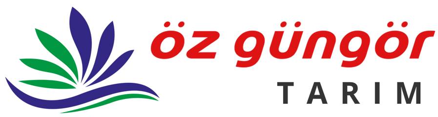 Referanslarımız